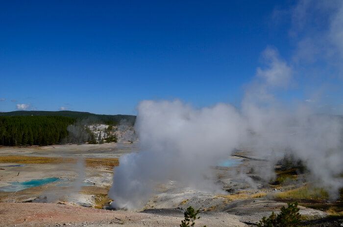 Visitar los géiseres y fuentes termales de Yellowstone National Park