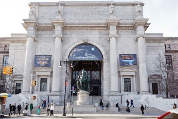 Museo NYC Friends Museo Historia Natural Friends