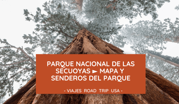 Parque Nacional de las Secuoyas