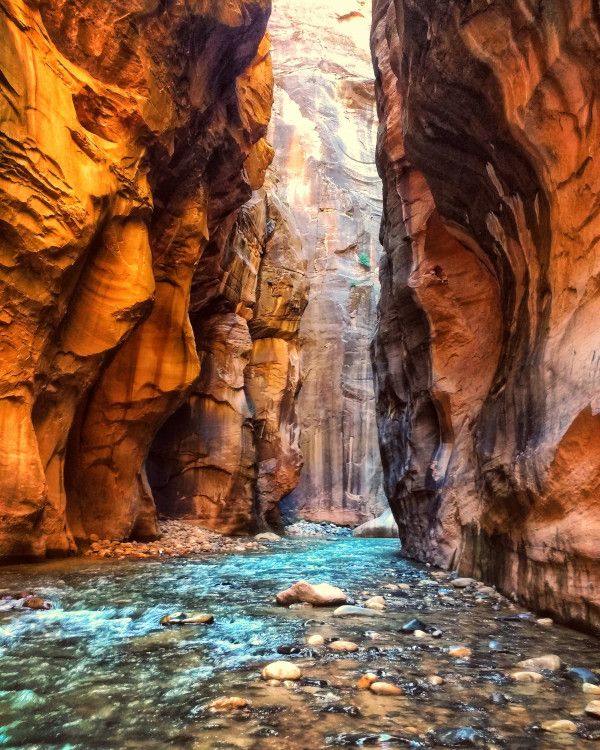 zion national park Trail Zion NP