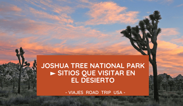 joshua tree national park