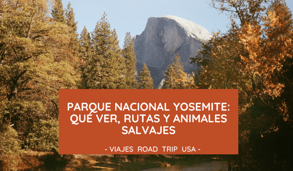 parque nacional yosemite